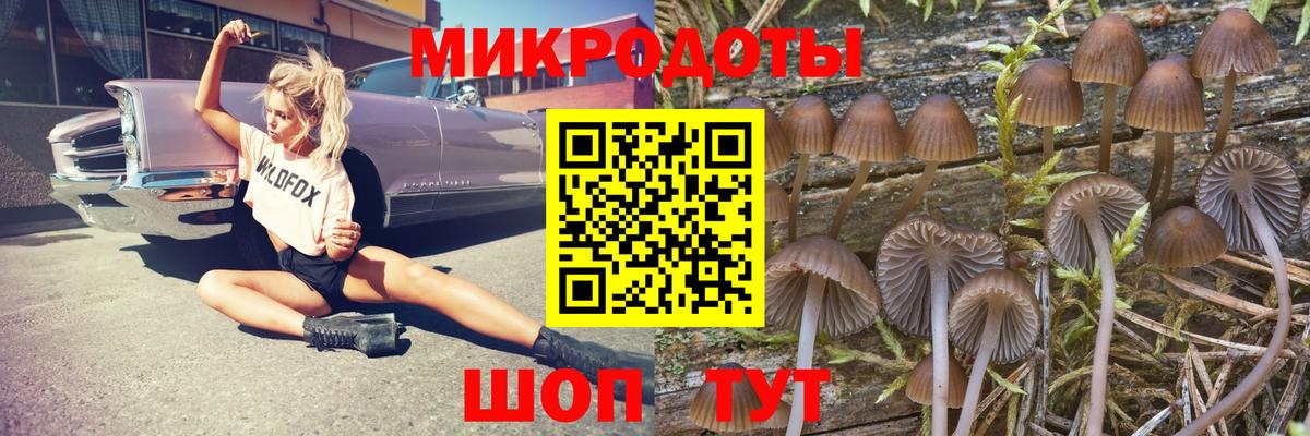 Галлюциногенные грибы Cubensis Черкесск