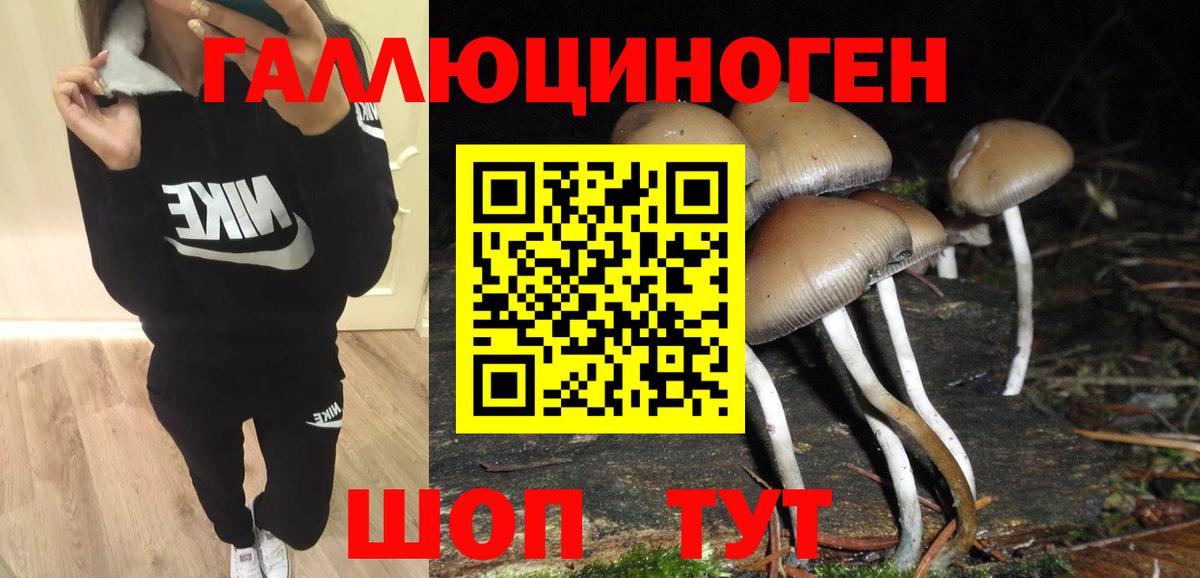 Псилоцибиновые грибы ЛСД  хочу наркоту  Вход с VPN  Черкесск  Псилоцибиновые грибы прущие грибы 