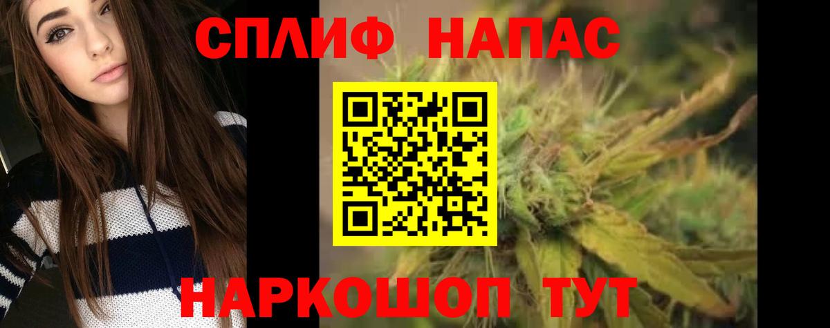 Канабис конопля Черкесск